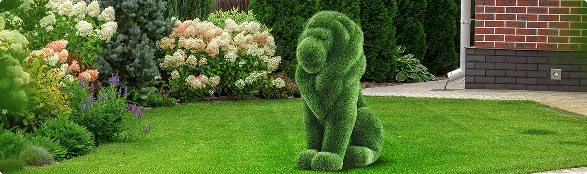 Miért kitűnő választás a Grassbear?