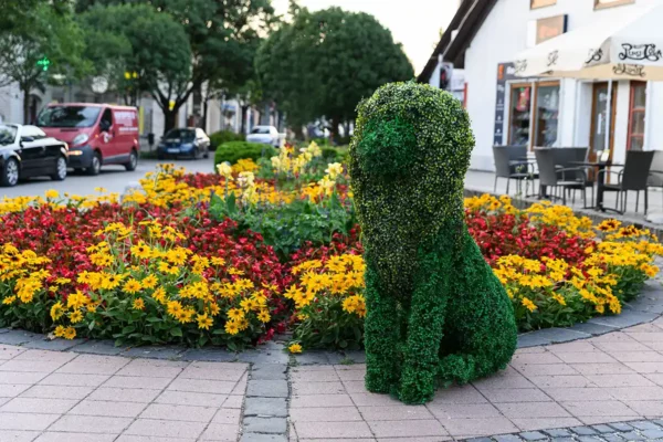 Exkluzív, máshol nem elérhető